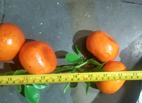 Synthetic Orange 19 Inch String  - 10